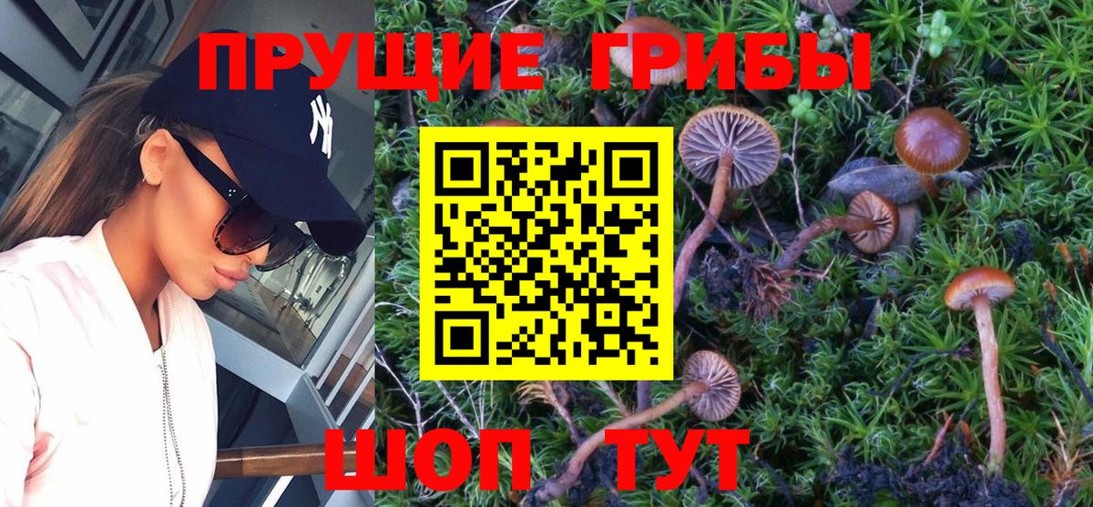 Ростов Великий  Галлюциногенные грибы мицелий  Галлюциногенные грибы мухоморы  Вход с VPN 
